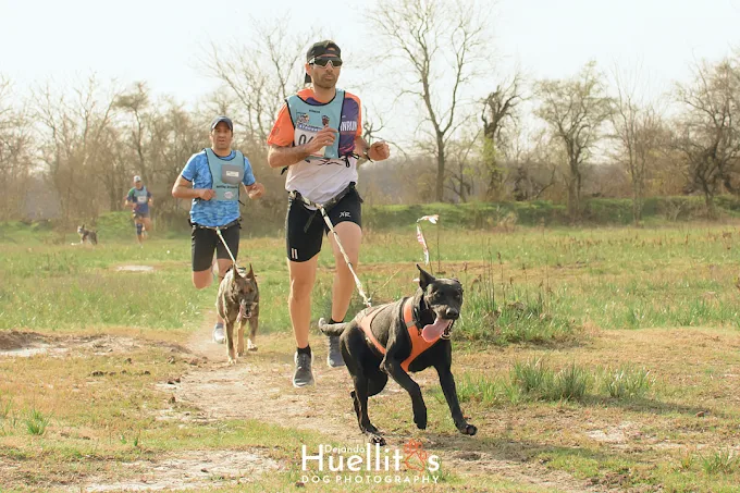 CANRUN | Entrenamiento Canino, Educación y Coaching para Personas y Perro en Córdoba
