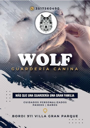 Guardería Canina Wolf | Cuidados Personalizados, Paseos y Baños para tu Perro