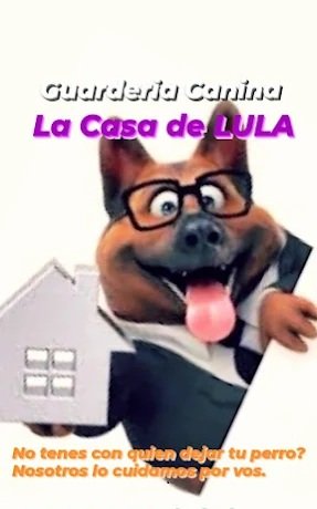 La Casa de Lula | Guardería para Perros en Ambiente Familiar y Amplio Patio en Córdoba