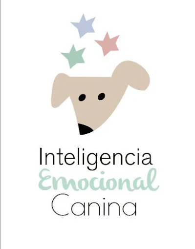 Romina Gallo | Educación Canina – 20 Años de Experiencia
