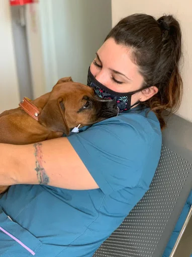 Veterinaria a Domicilio LG | Consultas, Vacunación, Análisis de Sangre y Cirugías (con Traslado a Clínicas)