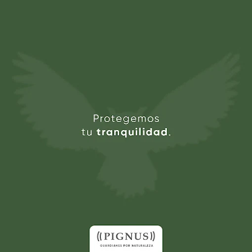 PIGNUS |  Seguridad Privada: Vigilancia, Control de Mercaderías, Control Satelital