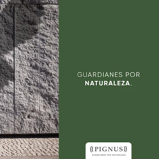 PIGNUS |  Seguridad Privada: Vigilancia, Control de Mercaderías, Control Satelital