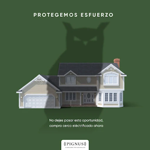 PIGNUS |  Seguridad Privada: Vigilancia, Control de Mercaderías, Control Satelital