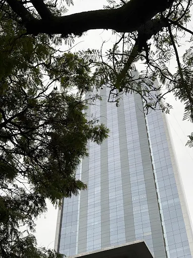 Jaskowsky Bistocco Barrios Abogados | Asesoramiento Legal y Soluciones Estratégicas para Empresas en Derecho Empresarial