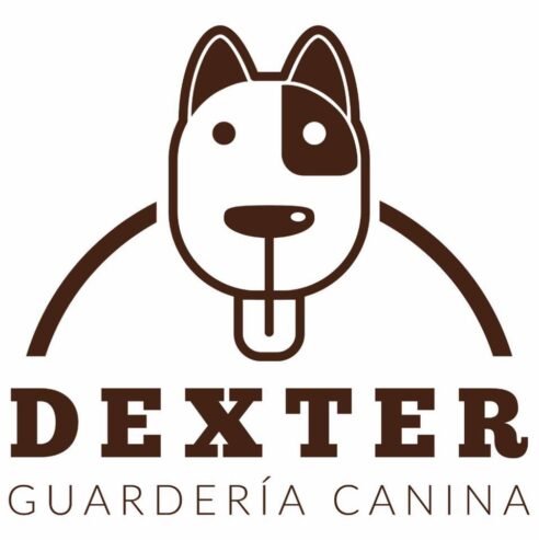 Dexter Guardería Canina | Servicio Premium, Traslado, Venta de Alimento y Asistencia Veterinaria 24hs