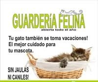 Guardería Felina | Tu Gato de Vacaciones, Cuidado Personalizado y Alojamiento para Gatos
