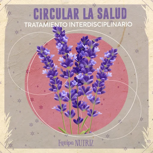 Nutricionista Daniela Granero | Especialista en Nutrición Vegetariana, Vegana, Alimentación Antiinflamatoria