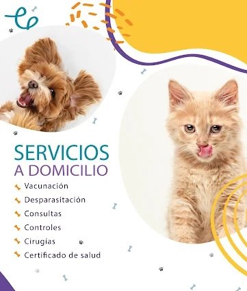 Better Vet | Veterinaria a Domicilio  Vacunas, Desparasitaciones, Consultas, Cirugías
