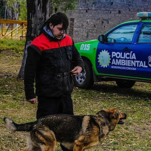 Aiko School | Adiestramiento Canino y Guardería Canina 26 Años de Experiencia