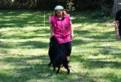 Aiko School | Adiestramiento Canino y Guardería Canina 26 Años de Experiencia