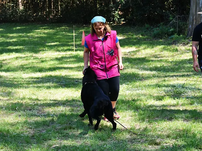 Aiko School | Adiestramiento Canino y Guardería Canina 26 Años de Experiencia