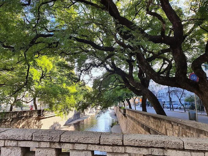 Ph. Cristian Fotografía | Fotoperiodismo y Bodas