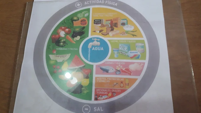 Nutrición Personal – Carina Ramos | Sistema Innovador de Descenso de Peso, Conservación de Masa Muscular