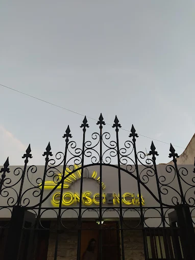 Consciencia | Osteopatía, Kinesiología y Fisioterapia