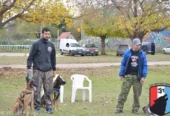 Strong Dogs Adiestramiento Canino | Técnicas de Conductismo  Armonía y Obediencia