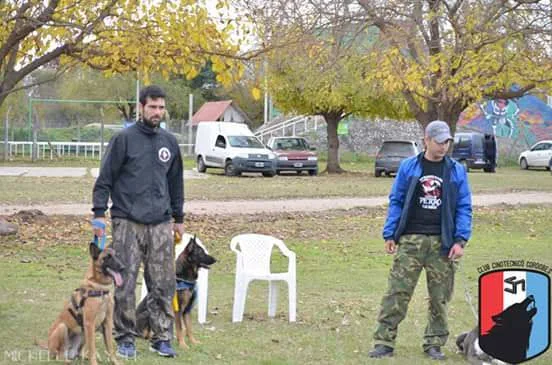 Strong Dogs Adiestramiento Canino | Técnicas de Conductismo  Armonía y Obediencia