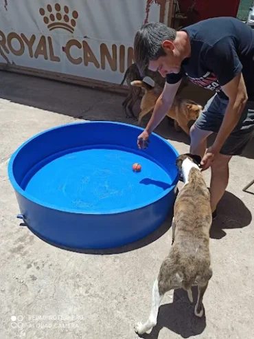 CANINUS | El Lugar para que tu Perro Disfrute Córdoba