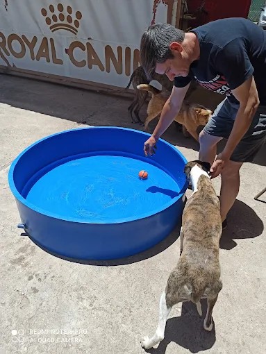 CANINUS | El Lugar para que tu Perro Disfrute Córdoba
