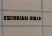 Escribanía Gulle | Tu Escribanía de Confianza para Todos tus Trámites Notariales