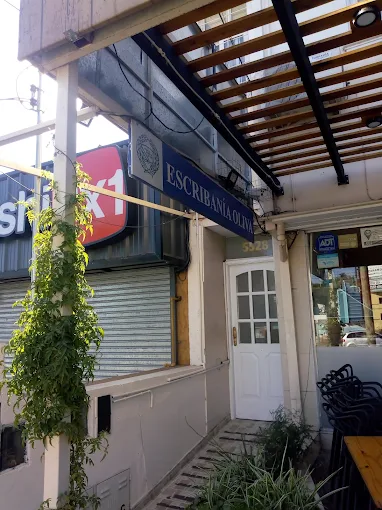 Escribanía Oliva | Servicios Notariales con Atención Personalizada