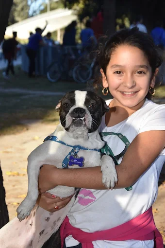 GLEE PET MARKET | Veterinaria, Peluquería Canina/Felina, Pet Shop (Alimentos, Acuarismo) en O’Higgins Mall, Córdoba