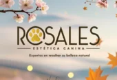 Rosales Estética Canina | Peluquería Profesional, Matrícula Habilitada, Herramientas Wahl & Andis y Cosmética Moksha