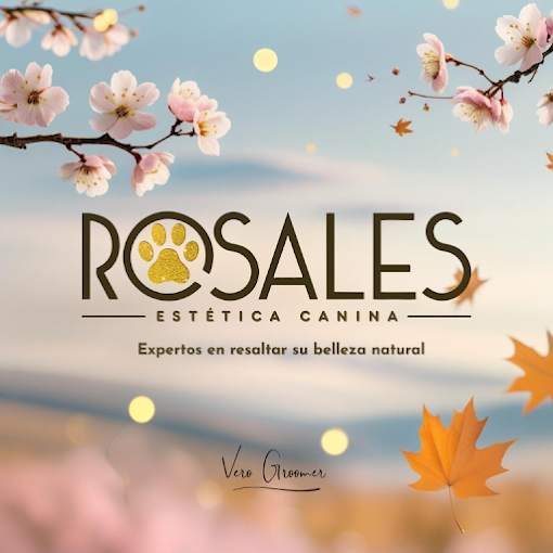 Rosales Estética Canina | Peluquería Profesional, Matrícula Habilitada, Herramientas Wahl & Andis y Cosmética Moksha