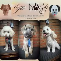 299693710_566097761566079_2811850044374959423_n