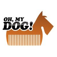 300434672_382776080679274_2719073330775876741_n