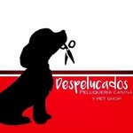 311490097_421714690145879_2457856781249830977_n