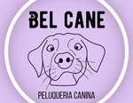 Bel Cane | Peluquería Canina Sin Estrés, Sesiones Personalizadas, Baño, Corte, Deslanado y Corte de Uñas