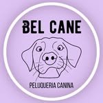 345242368_731552832303740_1187375297563414685_n