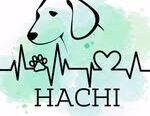 Hachi Peluquería | Peluquería y Baños (Todos los Tamaños) y Guardería Canina (hasta 20 kilos) en Córdoba Capital