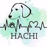 418024932_1579265112817292_4124578732568481564_n