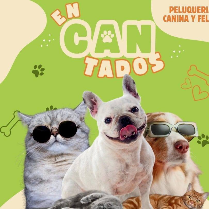 Encantados Córdoba | Peluquería Canina y Felina, Alimento Balanceado y Accesorios para Mascotas