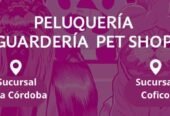 Magical Days | Peluquería Canina y Felina, Guardería (por Hora), Pet Shop y Adiestramiento Canino