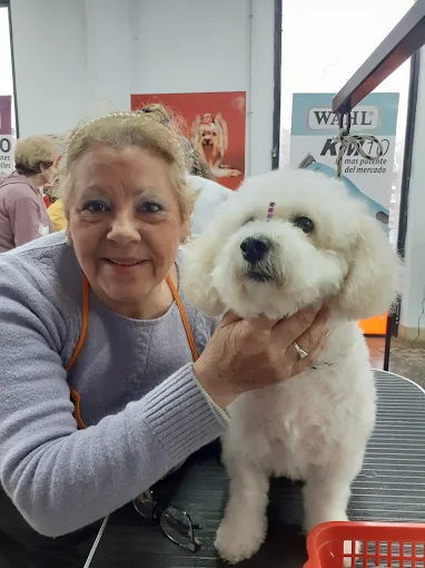 Animal Groom | Primera Escuela Integral de Peluquería y Estética Canina de Argentina, Maquinaria para Peluqueros