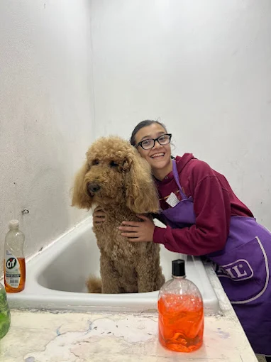 Animal Groom | Primera Escuela Integral de Peluquería y Estética Canina de Argentina, Maquinaria para Peluqueros