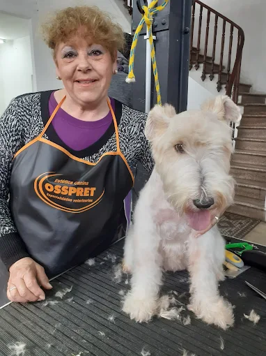 Animal Groom | Primera Escuela Integral de Peluquería y Estética Canina de Argentina, Maquinaria para Peluqueros
