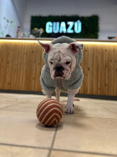 Guazú Club de Mascotas | Veterinaria, Pet Shop y Pelu Canina en Córdoba