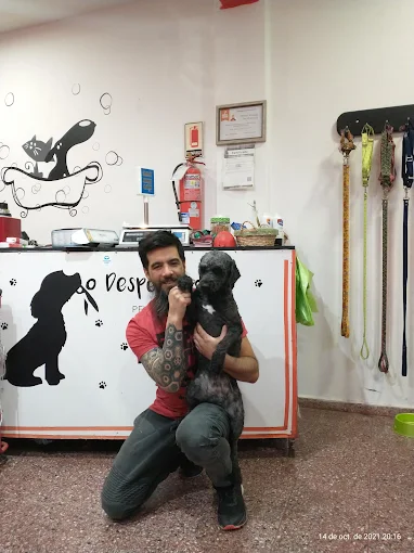 Despelucados Peluquería Canina | Peluquería Canina y Pet Shop en Córdoba
