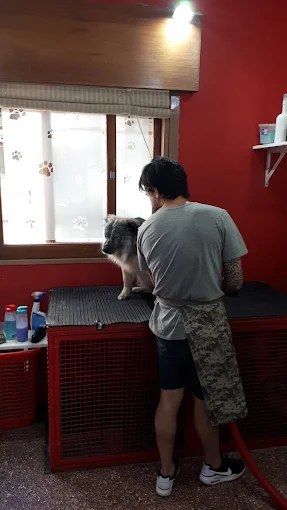 Despelucados Peluquería Canina | Peluquería Canina y Pet Shop en Córdoba
