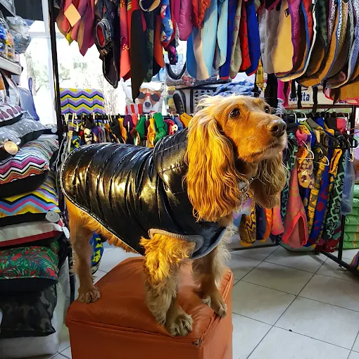 Domus Canis Veterinaria | Peluquería Canina, Accesorios y Alimentos Sueltos y Envasados en Córdoba