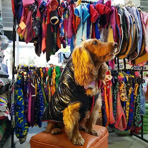 Domus Canis Veterinaria | Peluquería Canina, Accesorios y Alimentos Sueltos y Envasados en Córdoba