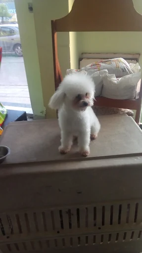 Veterinaria Providencia | Clínica Veterinaria, Pet Shop, Baño, Peluquería y Delivery de Alimentos para Perros, Gatos, Aves y Roedores