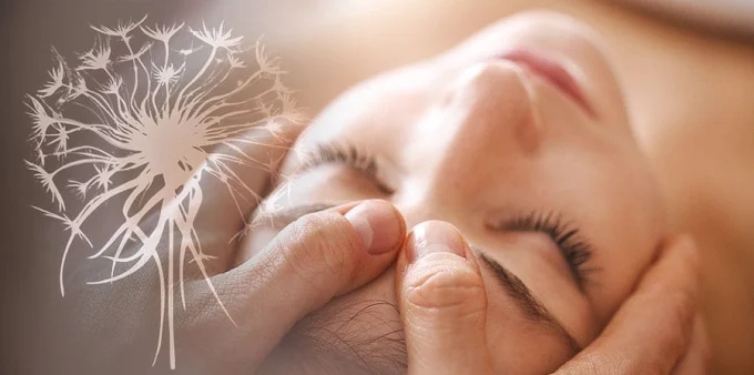 Barras de Access | Sesiones para Liberar tu Mente y Transformar tu Vida