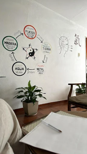 Centro de Medicina Tradicional China | Acupuntura, Ventosas y Fitoterapia