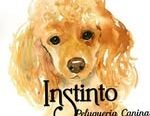 Instinto Pet Shop | Peluquería Canina, Venta de Alimentos Balanceados y Accesorios para Mascotas