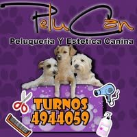 301918273_596120688739075_1046603712710441769_n